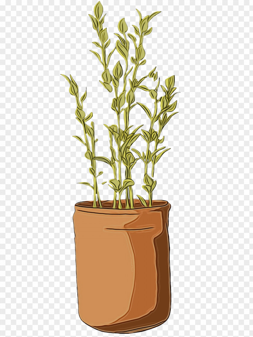 Plant Stem Herb Flowerpot Tree Plants PNG