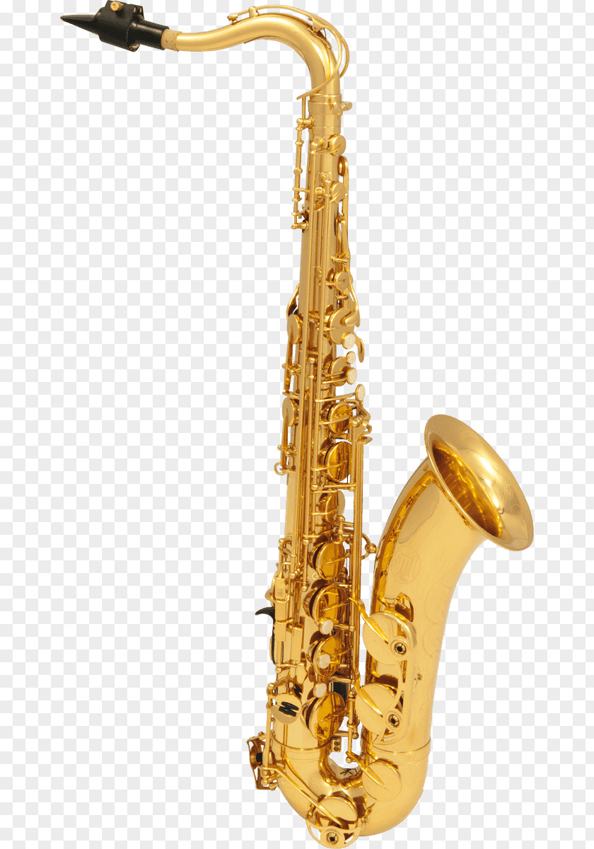 Saxophones Henri Selmer Paris Tenor Saxophone Reference 54 Alto PNG