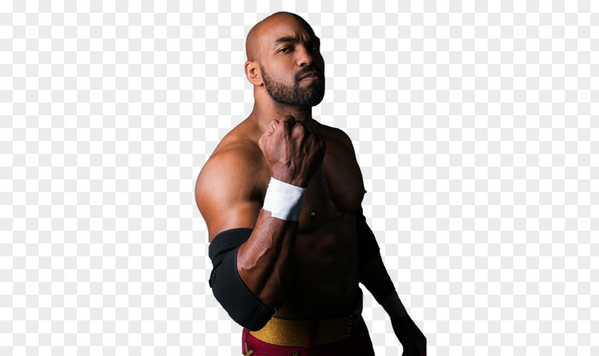 Scorpio Sky Ring Of Honor Professional Wrestler Wrestling The Young Bucks PNG