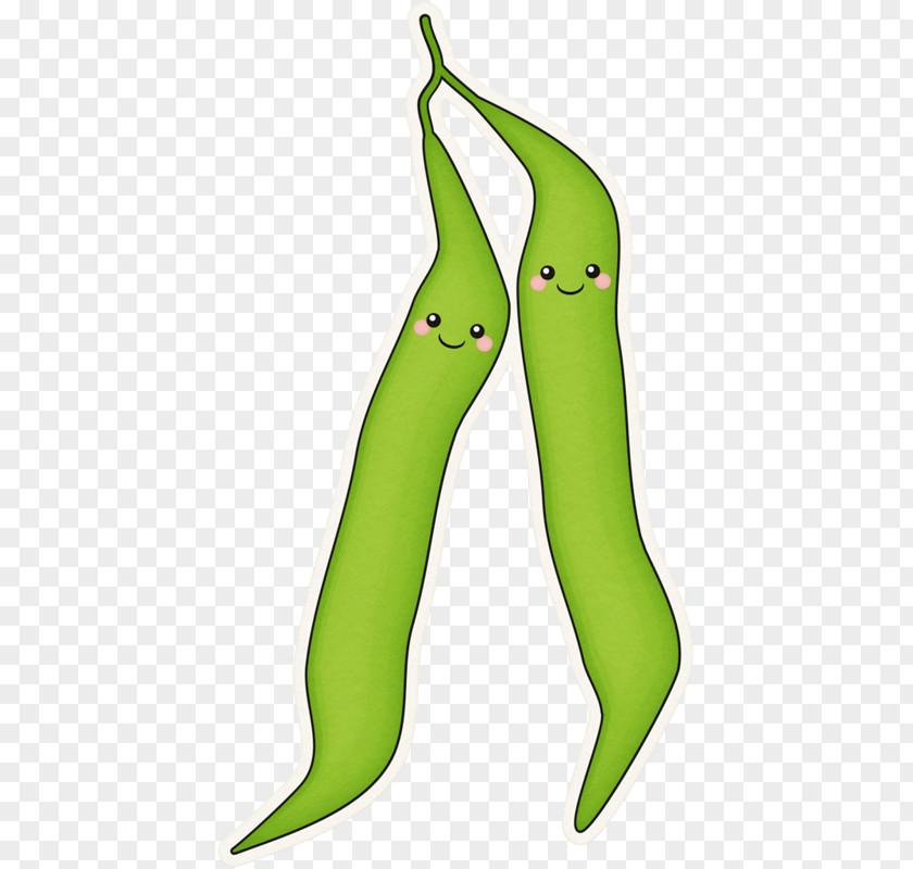 Duplication Cartoon Green Bean Clip Art Vegetable Drawing PNG