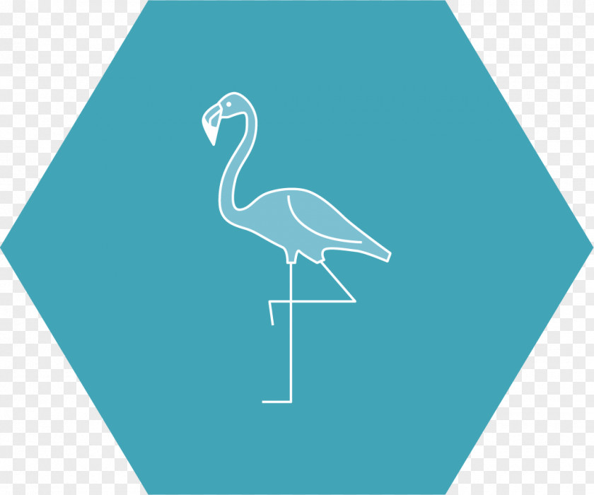 Flamingos Organization Energy Consultant System PNG
