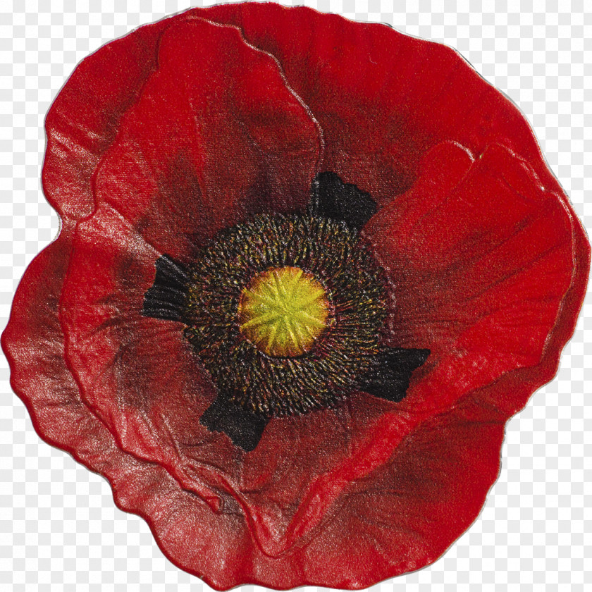 Red Poppies Remembrance Poppy Silver Coin In Flanders Fields PNG
