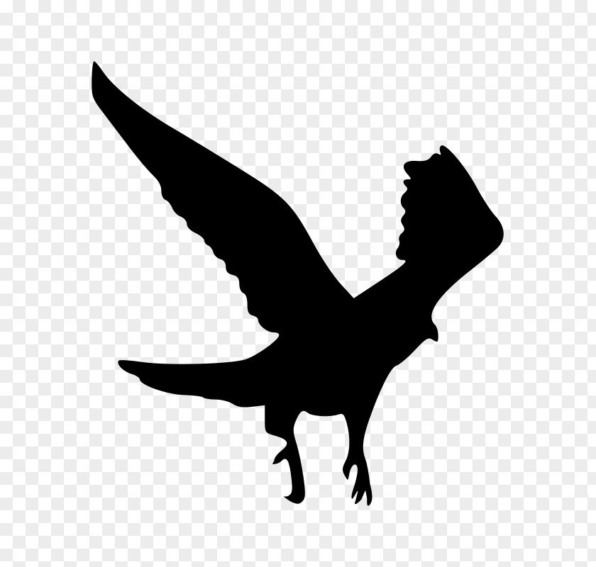 Silhouette Kingfisher Eagle Clip Art PNG