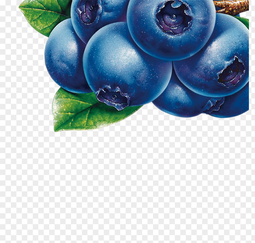 Blueberry Juice Bilberry Fruit Clip Art PNG