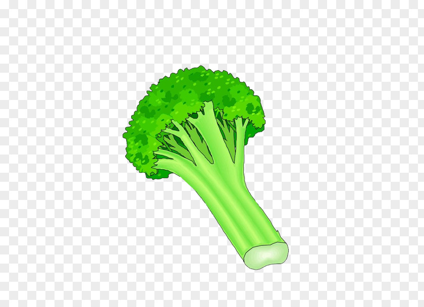Cauliflower Broccoli Vegetable Clip Art PNG