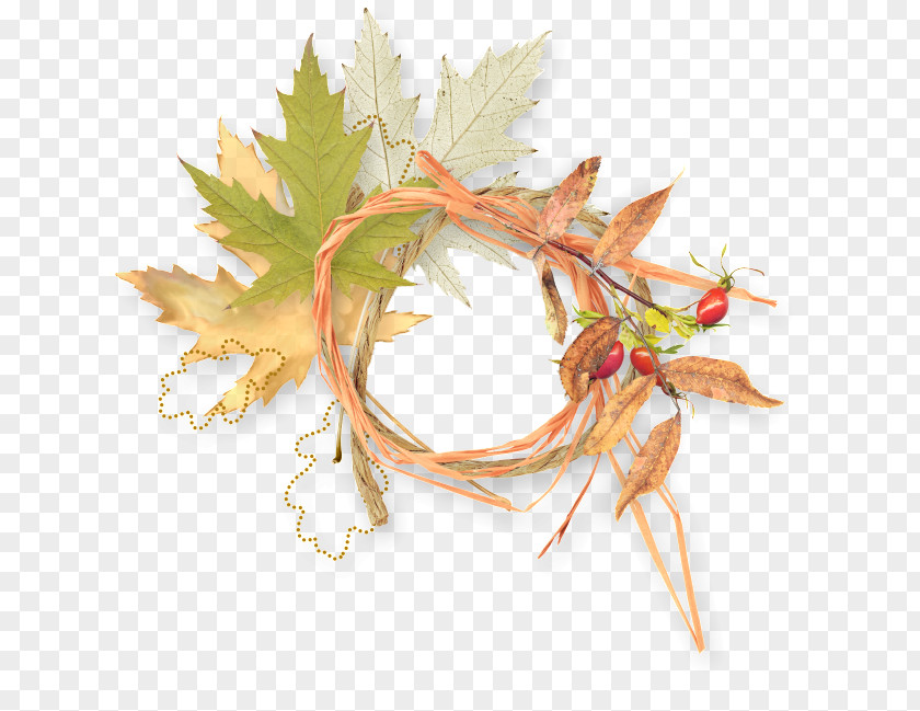 Grass Ring Download Computer File PNG