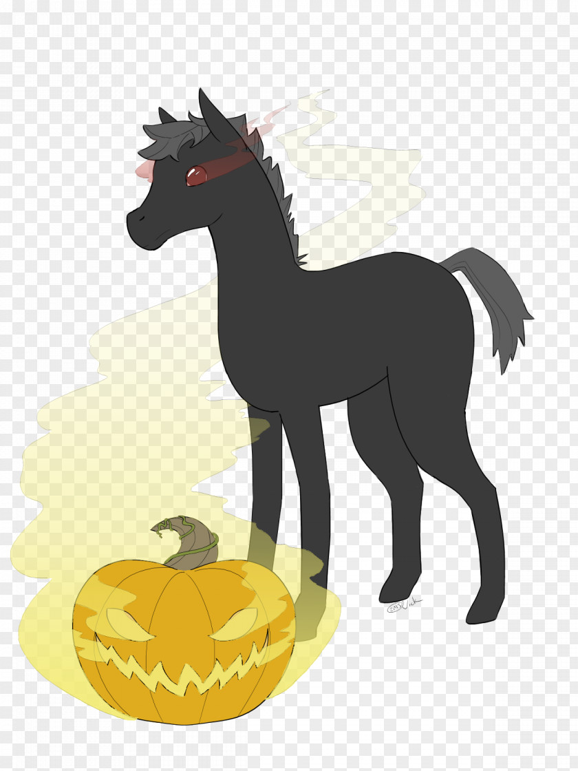 Headless Horseman Pony Mustang Foal Colt Stallion PNG