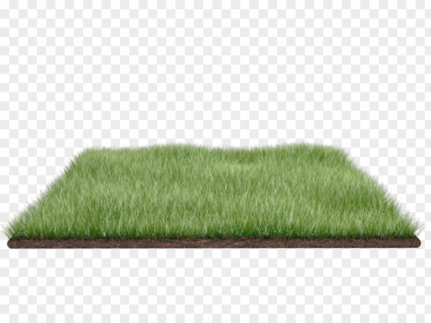 Landscaping Logo PNG