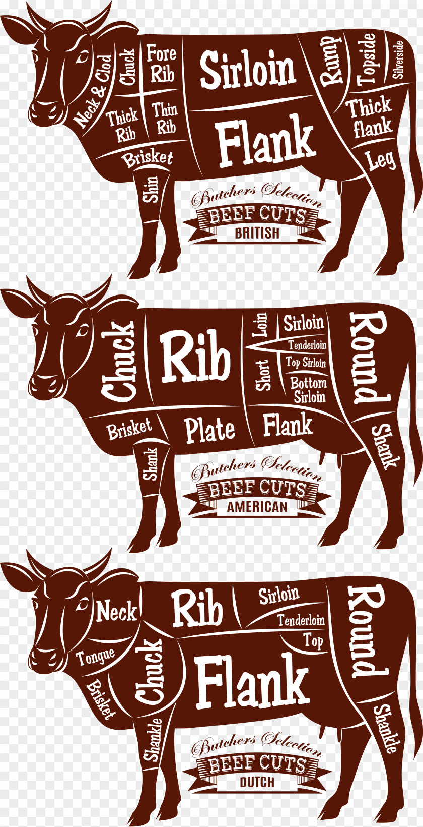 Vector Cow Beef Cattle Cut Of Diagram Butcher PNG