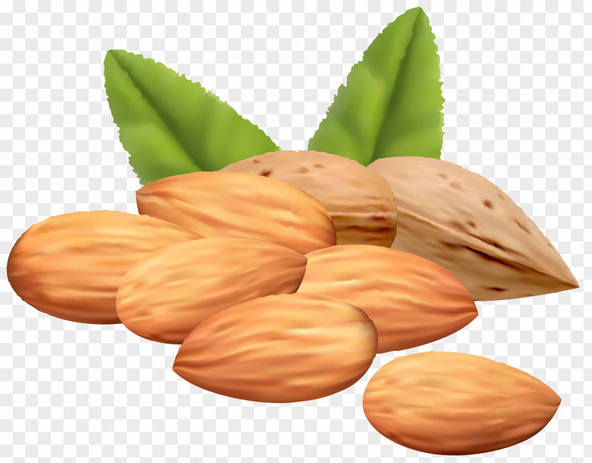 Almond Nuts Clipart Image Royalty-free Stock Photography Clip Art PNG