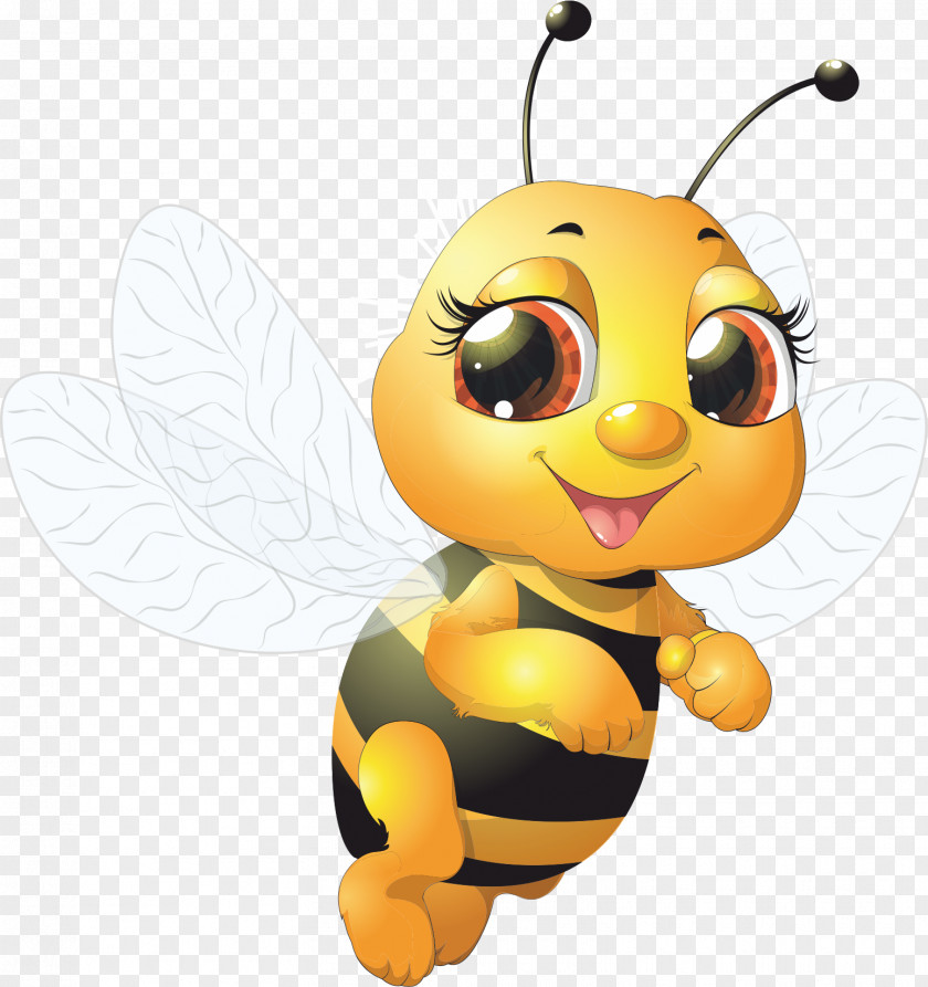 Cartoon Bee Bumblebee Insect PNG