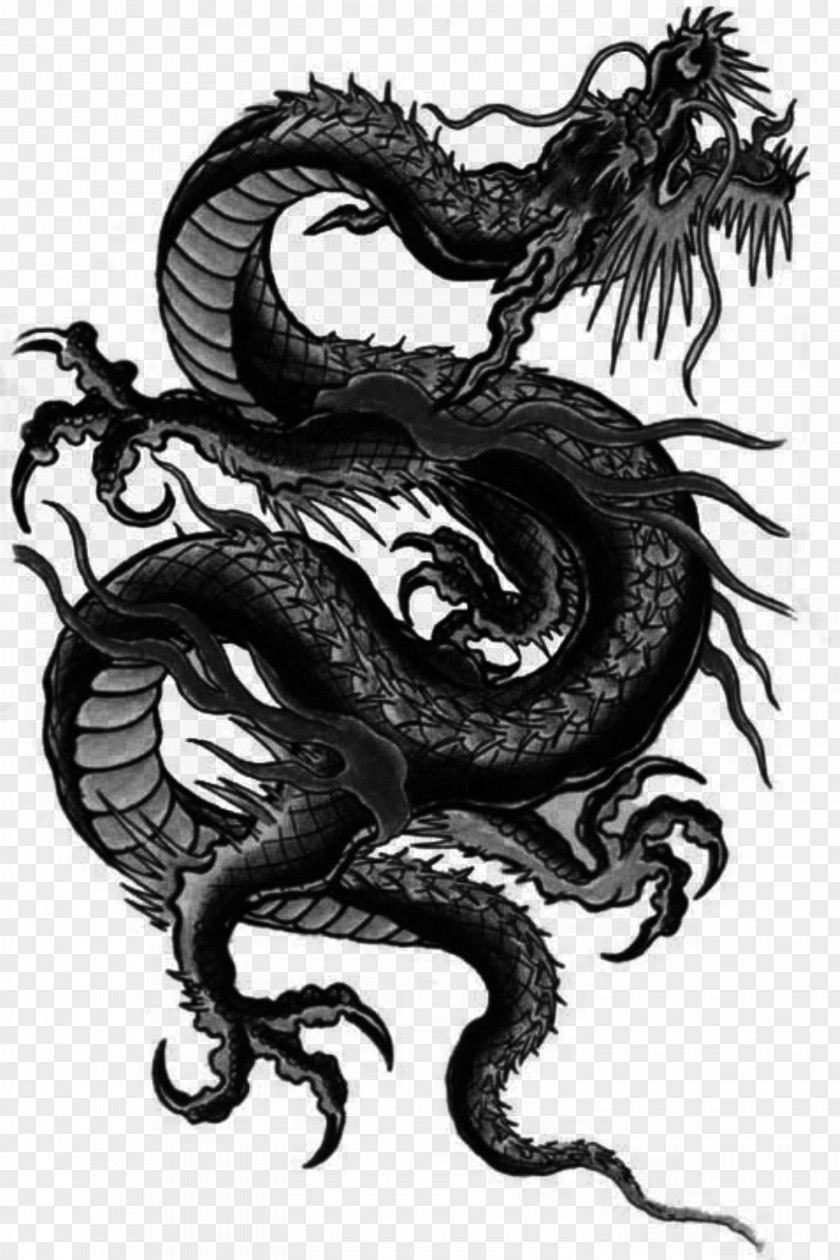 China Chinese Dragon Japanese Tianlong PNG