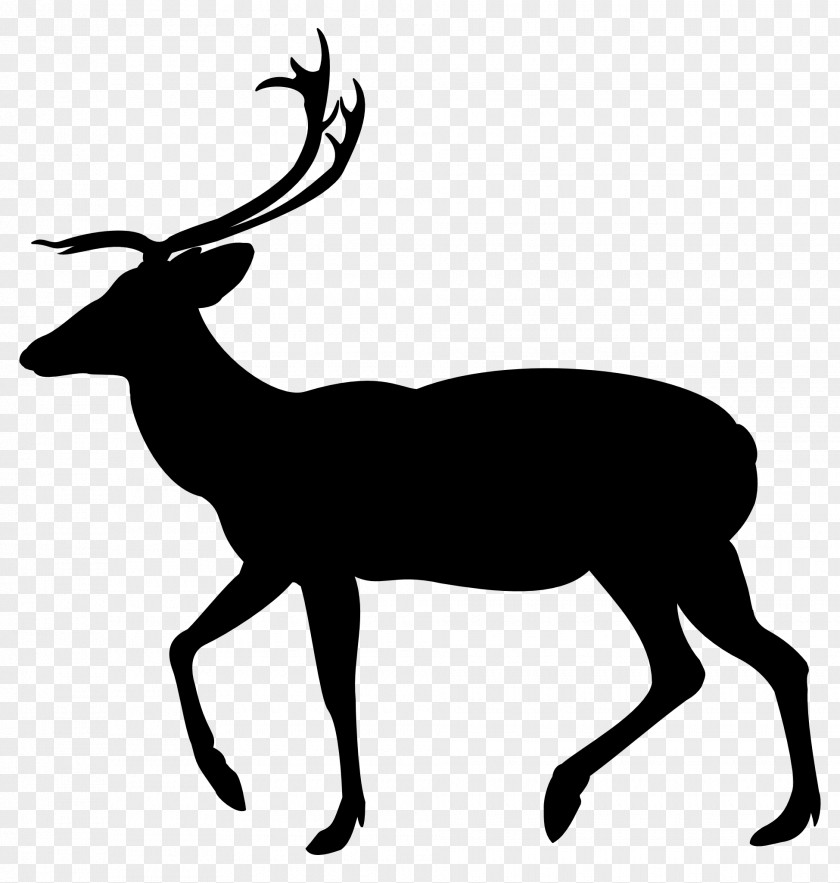 Clip Art White-tailed Deer Silhouette Moose PNG