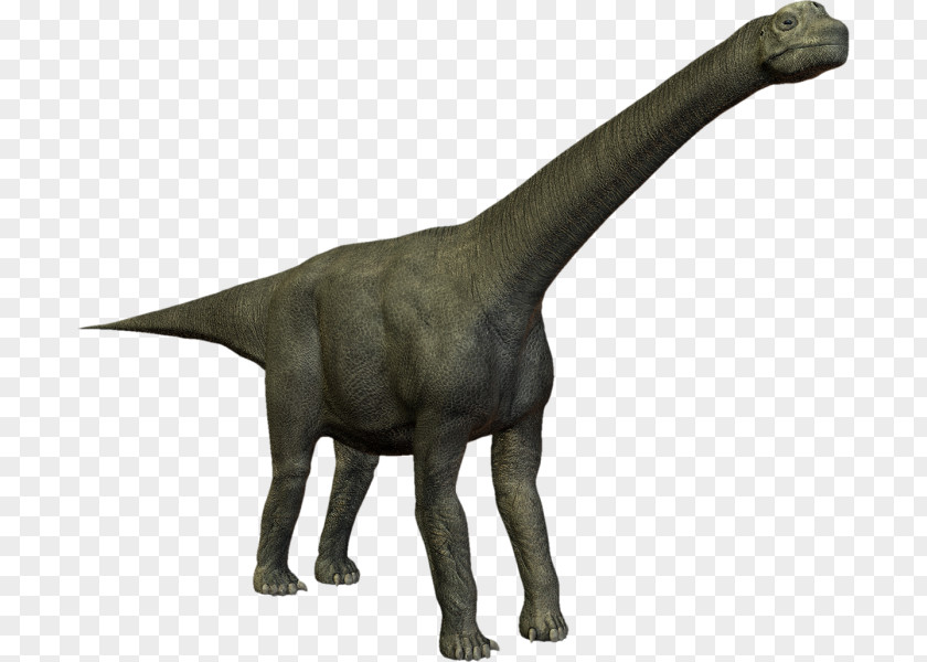 Dinosaur Velociraptor Camarasaurus PhotoScape PNG