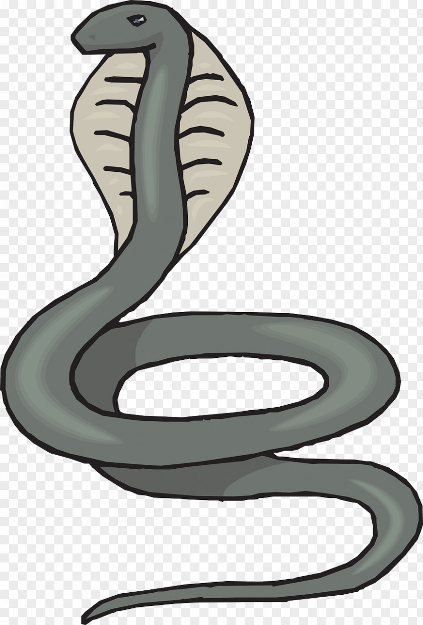 Viper Animal Figure Snake Cartoon PNG