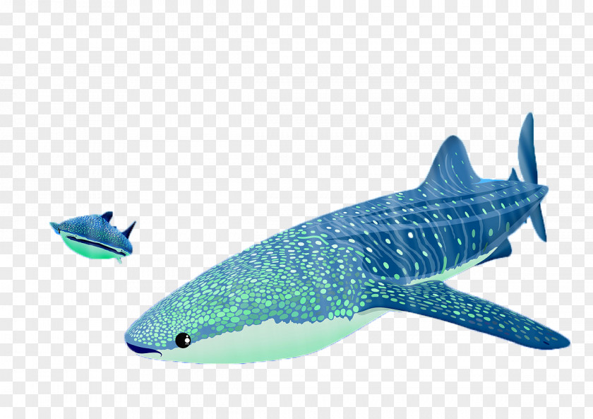 Whale T-shirt Blue Cetacea PNG