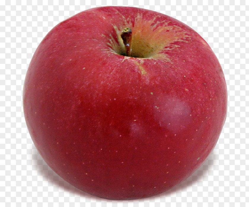 Apple McIntosh Idared Tart Food PNG