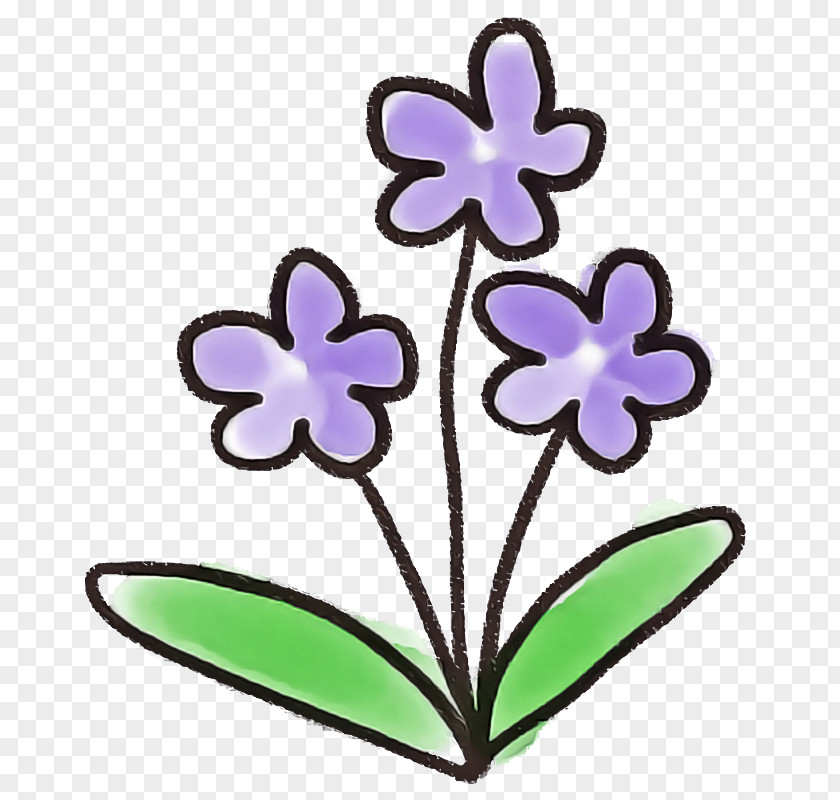 Purple Violet Plant Flower Petal PNG