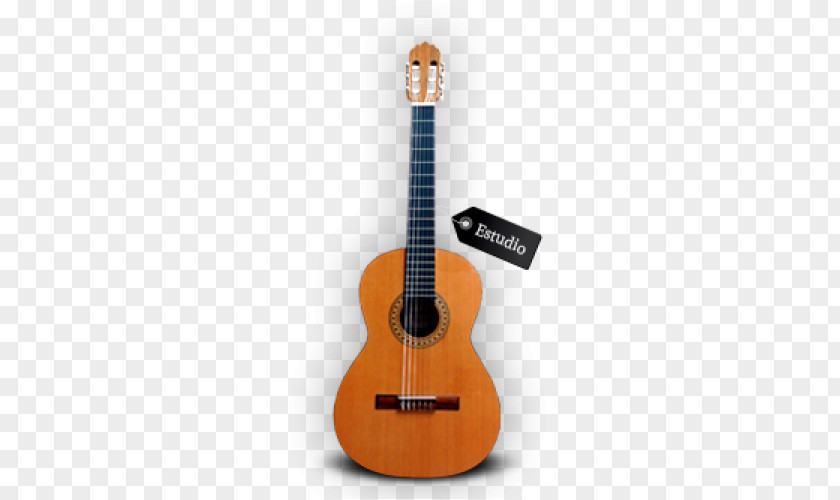 Acoustic Guitar Tiple Acoustic-electric Bass Cuatro PNG