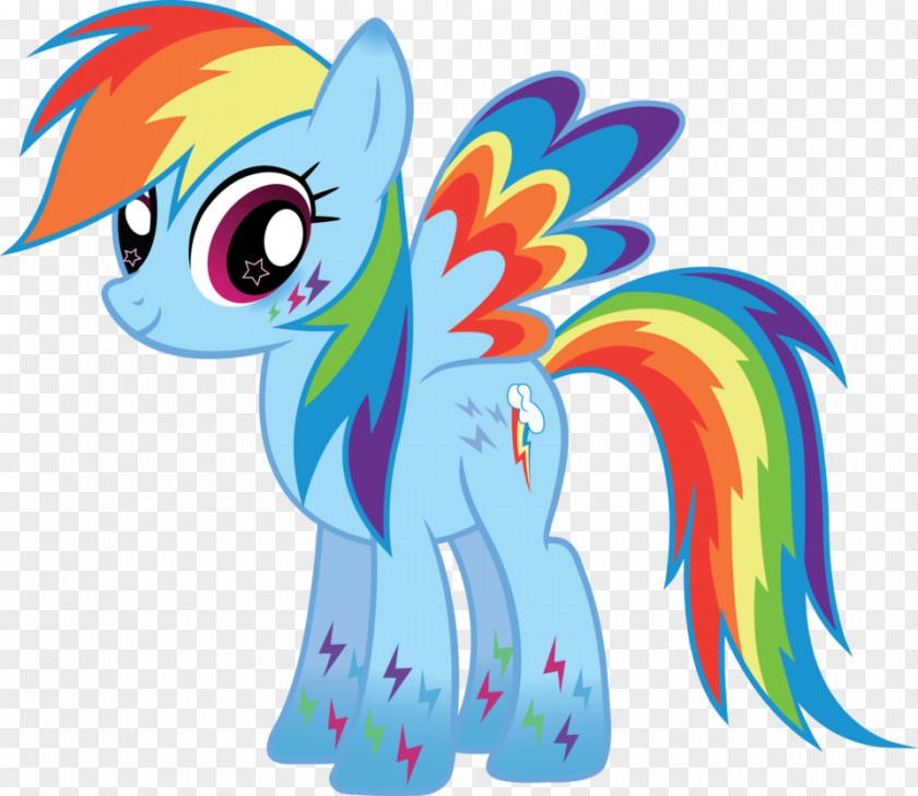 Dash Rainbow Rarity Pinkie Pie Twilight Sparkle Pony PNG