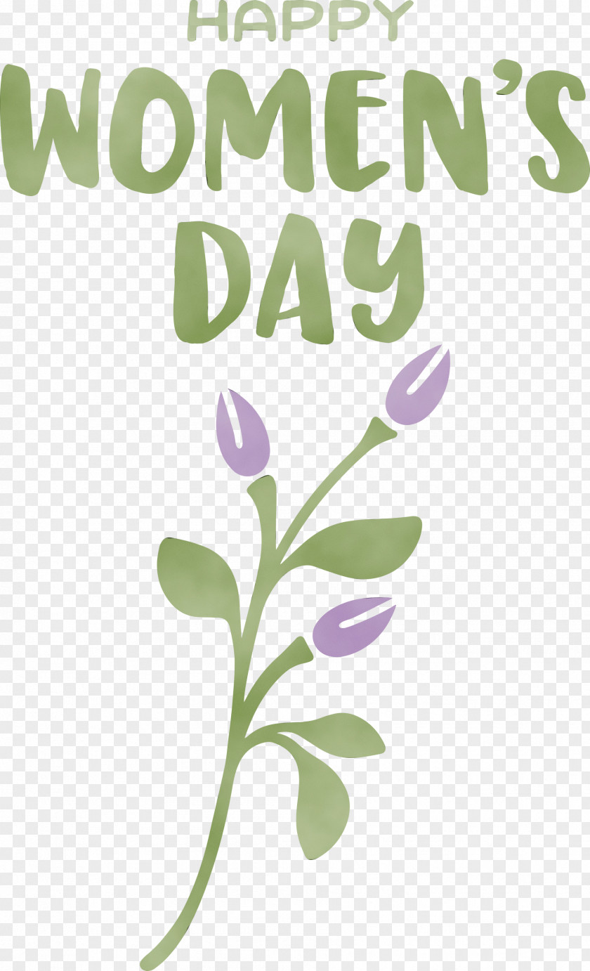 Floral Design PNG