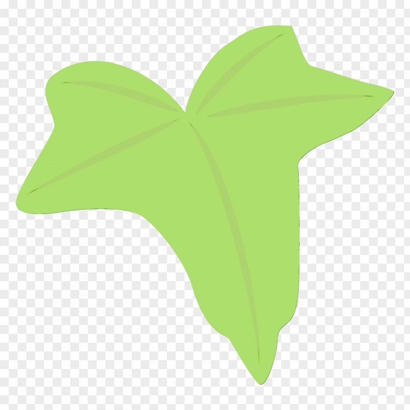 Petal Plant Green Leaf Symbol PNG