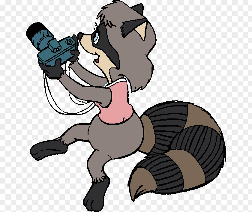 Ralph Raccoon Horse DeviantArt Artist Work Of Art PNG