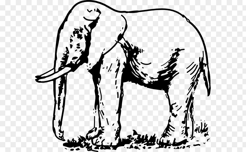 White Elephant Clipart Indian Clip Art PNG