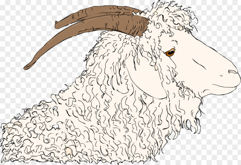 Angora Goat Images Sheep Cattle Mohair Wool PNG