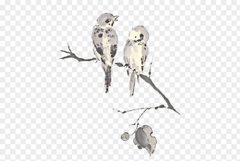 Bird Ink Clip Art PNG