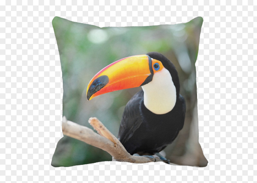 Bird Paper Tropical Forest Toco Toucan Book PNG