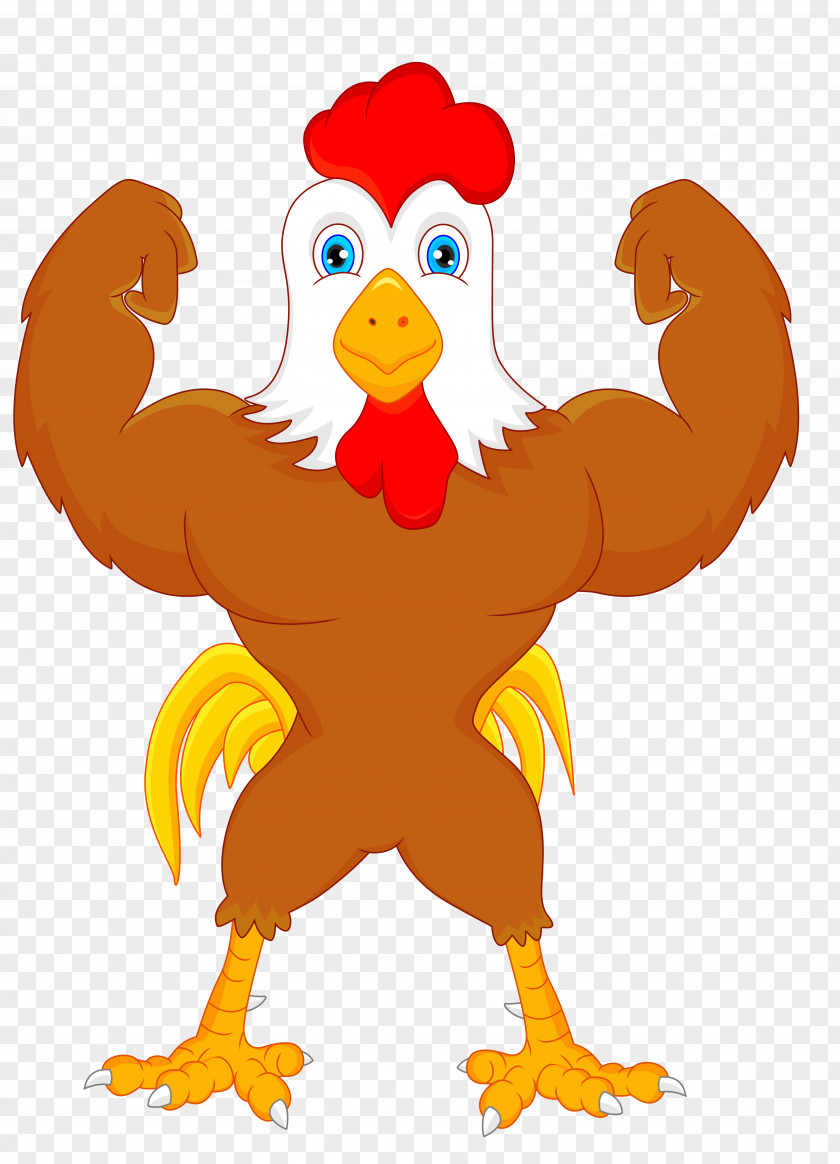 Chicken Rooster Cartoon Clip Art PNG