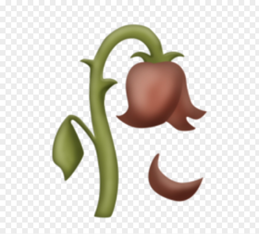 Emoji Emojipedia Unicode Consortium Emoticon PNG