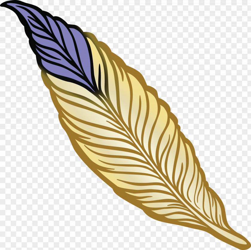 Feathers Vector Feather Drawing Bird Clip Art PNG