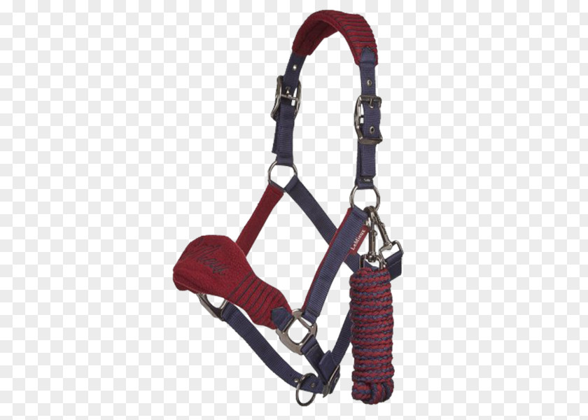Horse Halter Lead Equestrian Rope PNG