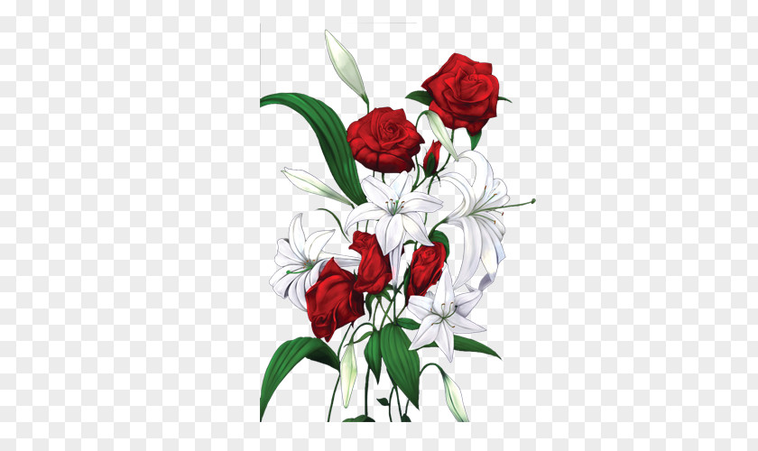 Red And White Roses Picture Garden Beach Rose PNG