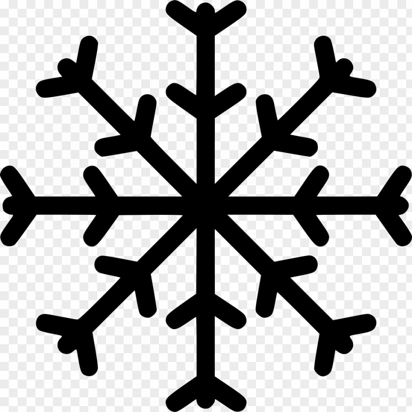 Snow Snowflake Rain And Mixed PNG