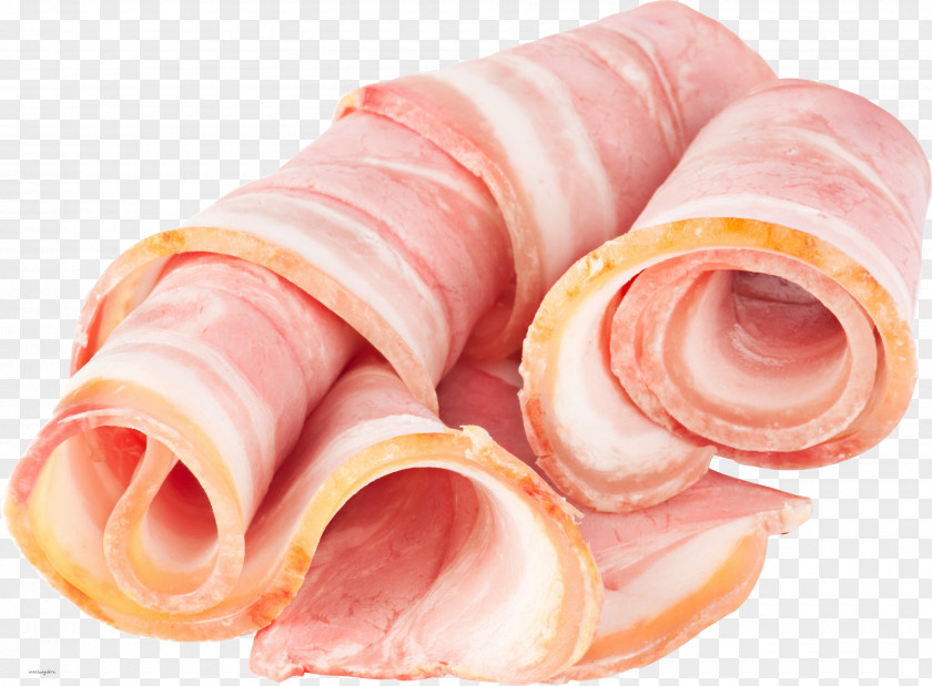 Bacon Sausage Meat Ham PNG