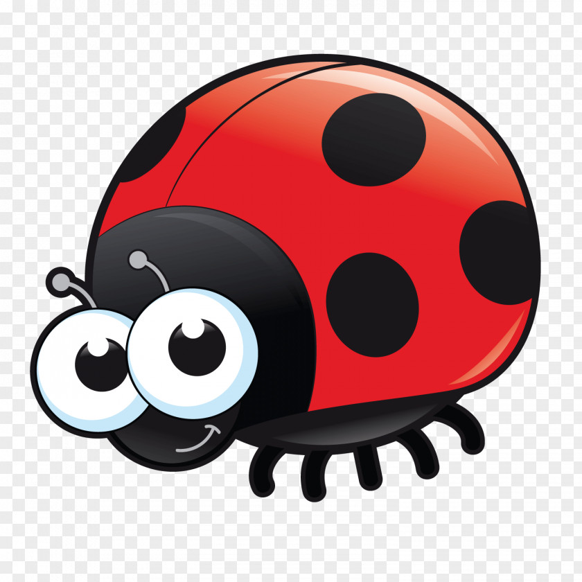 Bug Cartoon Vector Ladybird Beetle Insect Clip Art Image PNG