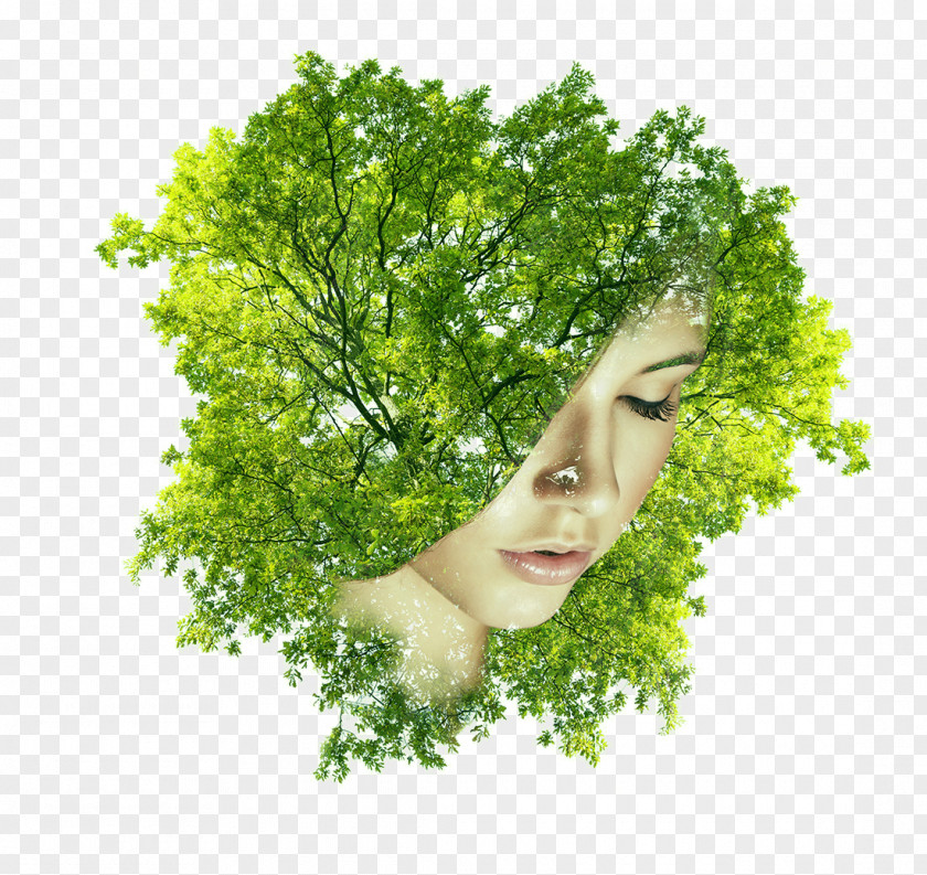 By Trees Covered Half Of His Face Female Head Woman Multiple Exposure PNG