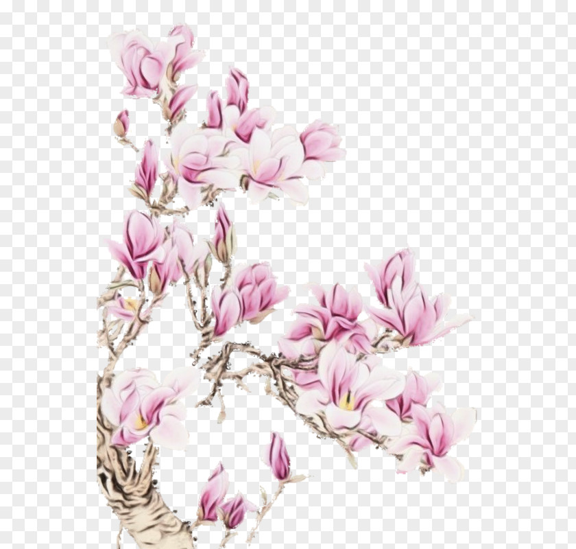 Cyclamen Blossom Cherry Cartoon PNG