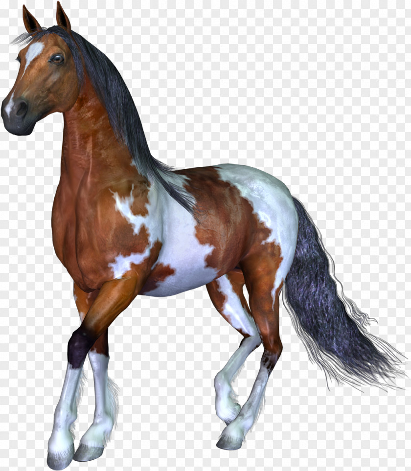 Horse 3D Computer Graphics Animal PNG