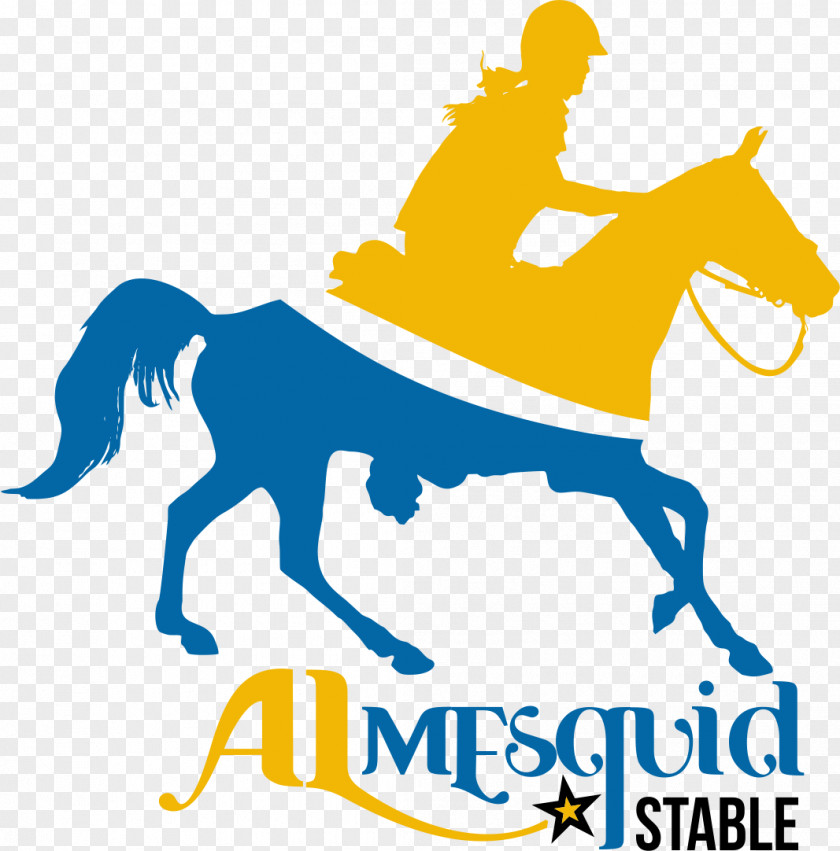 Horse Almesquid Stables Equestrian Endurance Riding Calle PNG