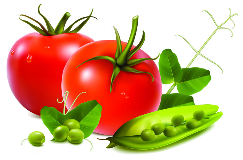 Vegetable Fruit Salad Tomato PNG