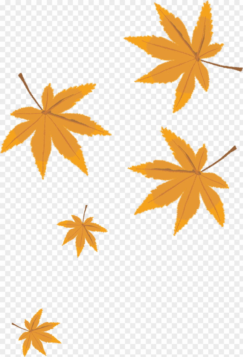 Autumn Leaves Vector Material Leaf Cartoon PNG