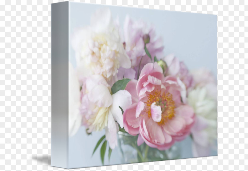 Creative Peony Floral Design Flower Still Life Photography PNG