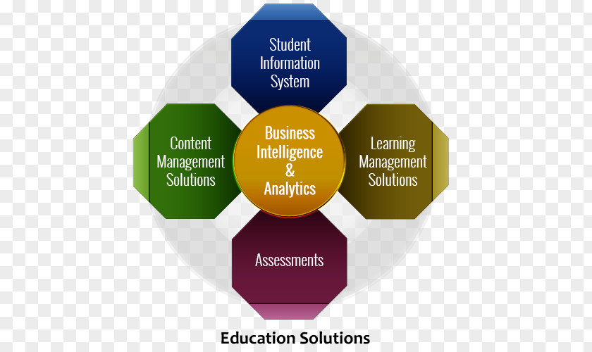 Design Brand Organization Diagram PNG