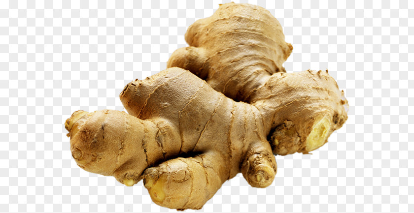 Ginger Tea Extract Vegetable Root PNG