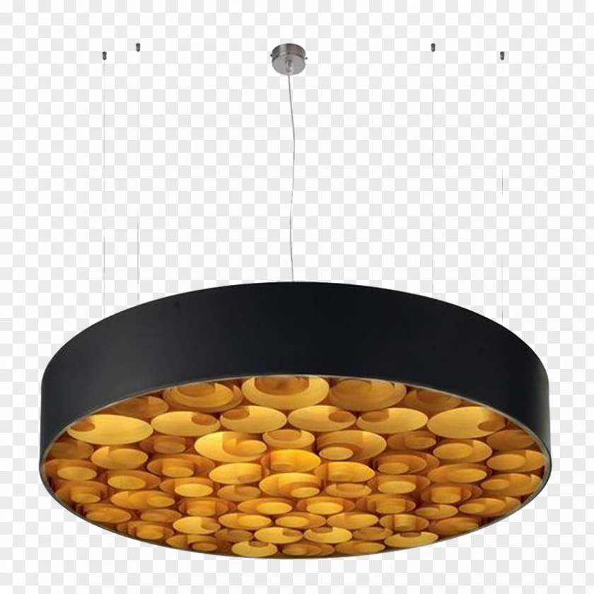 Large Ceiling Lamp Light Fixture Pendant Incandescent Bulb Lighting PNG