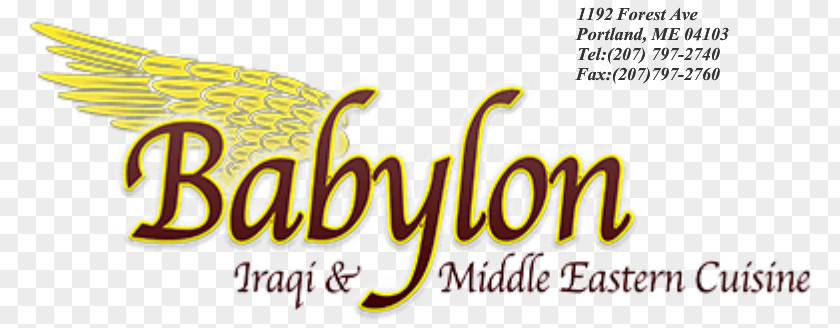 Middle Eastern Food South Portland Babylon Restaurant Cuisine Buffet Take-out PNG